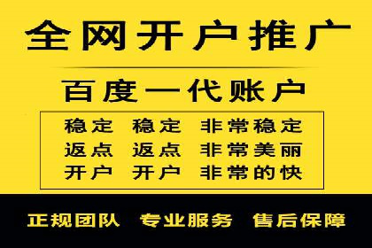 SEM广告投放的技巧与策略——成功案例分享